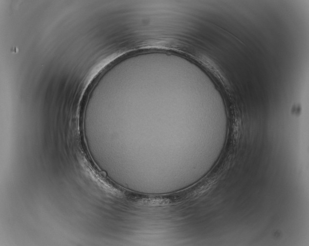 X0000114620884200911101212