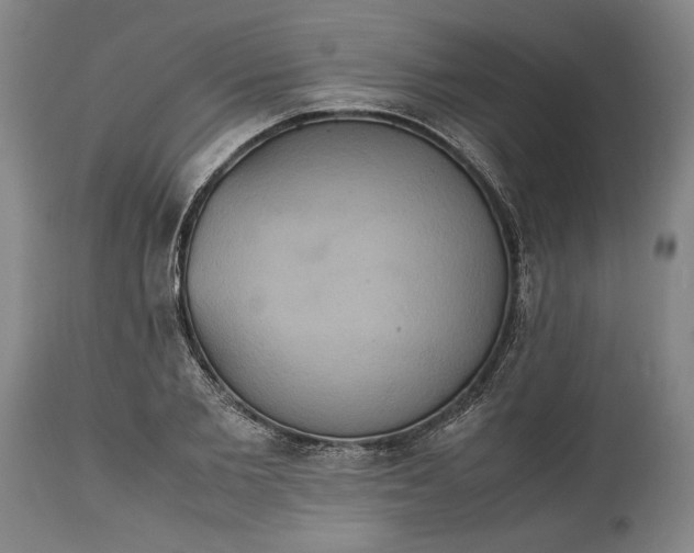 X0000114620885200911101212