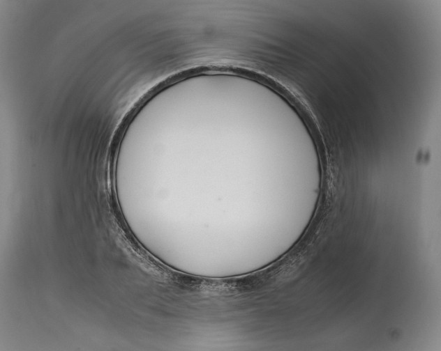 X0000114620887200911101212