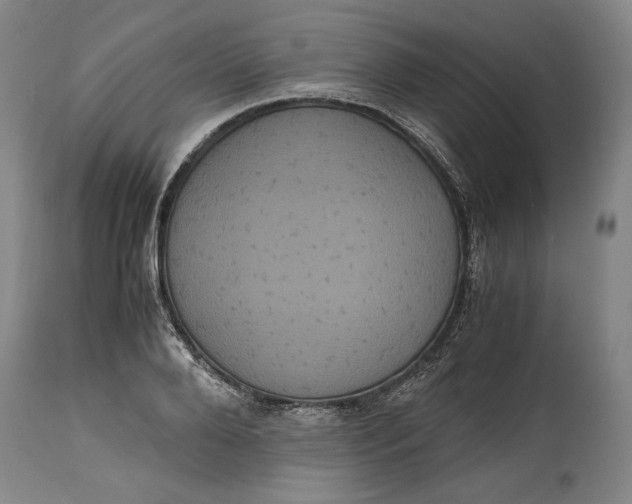 X0000114620888200911101212