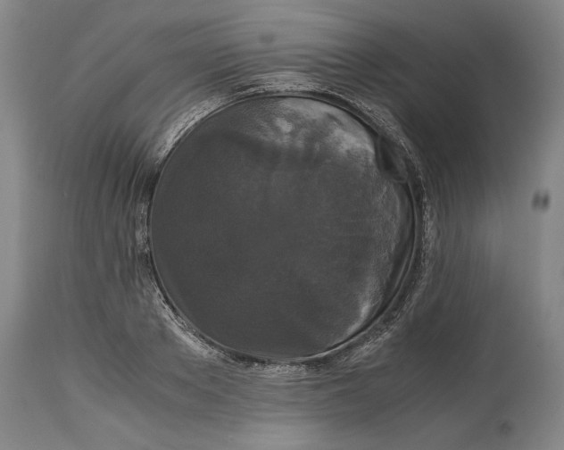 X0000114620889200911101212