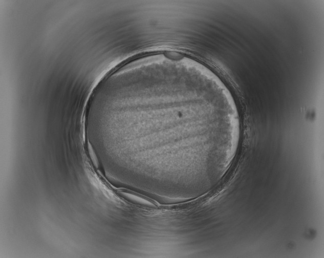 X0000114620892200911101212