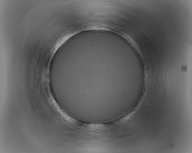 X0000114620893200911101212