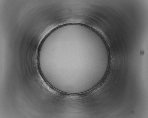 X0000114620894200911101212