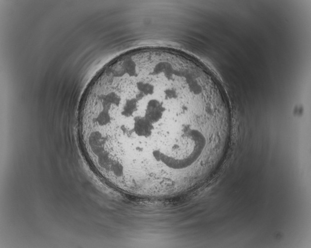 X0000114620895200911101212