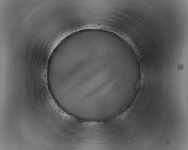 X0000114620896200911101212