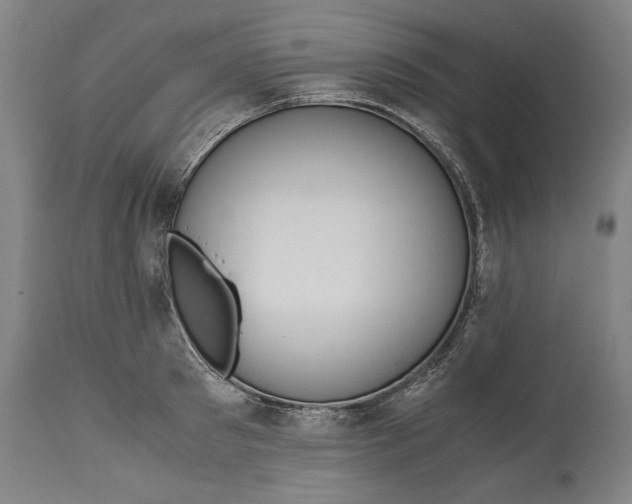 X0000114620897200911101212
