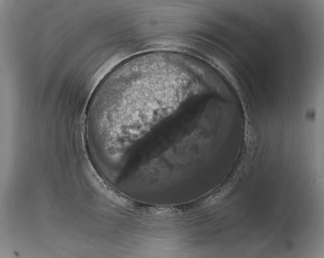 X0000114620899200911101212