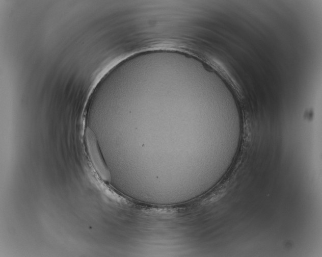 X0000114620900200911101212