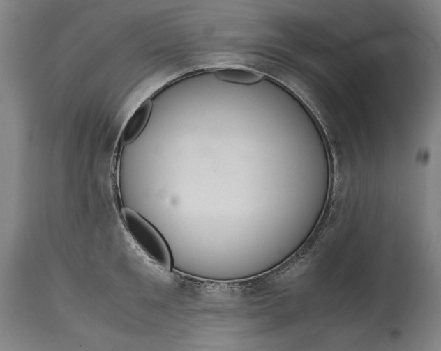 X0000114620901200911101212