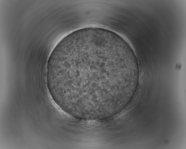 X0000114620903200911101212