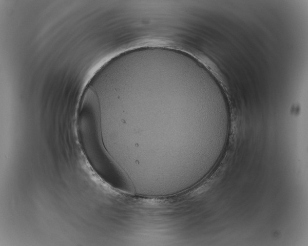 X0000114620904200911101212