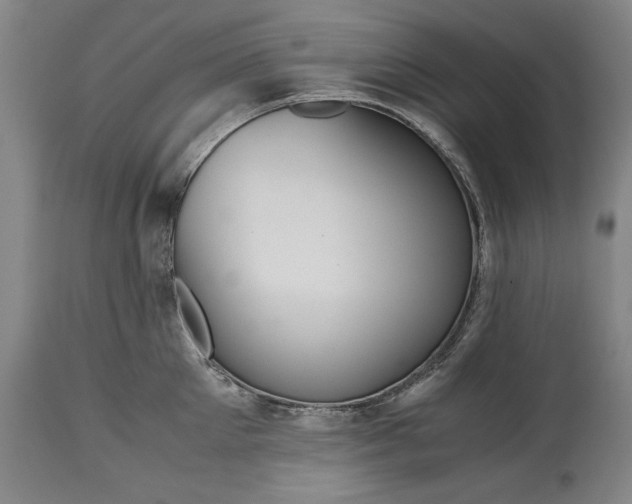 X0000114620905200911101212