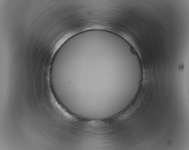 X0000114620906200911101212
