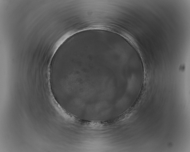 X0000114620907200911101212