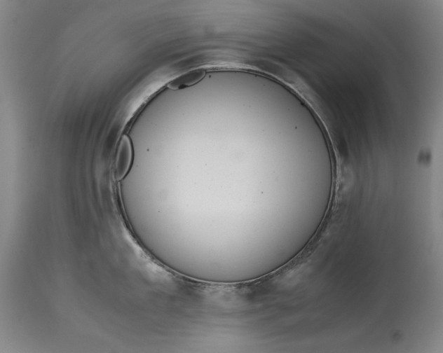 X0000114620909200911101211