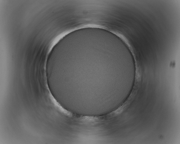 X0000114620910200911101211