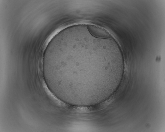 X0000114620911200911101211