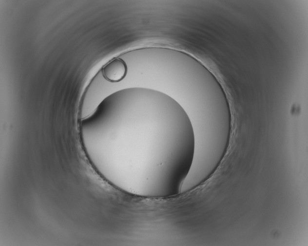 X0000114620912200911101211