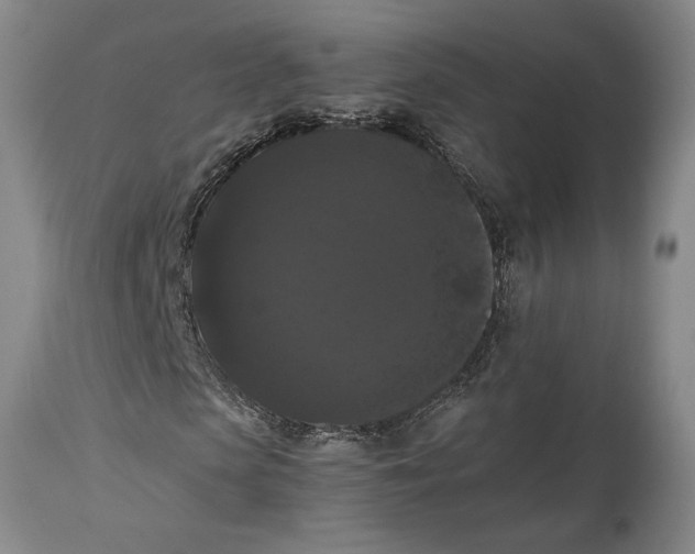 X0000114620913200911101211