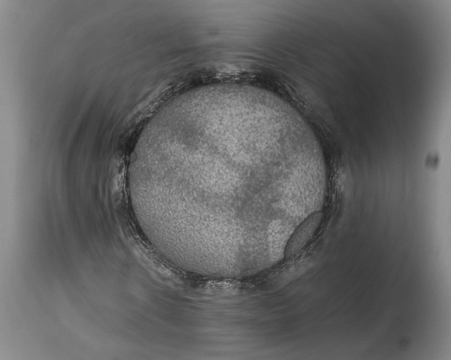 X0000114620914200911101211