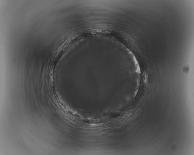 X0000114620915200911101211