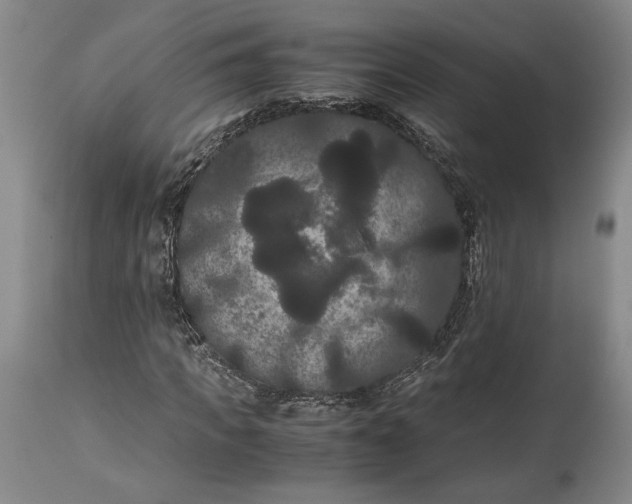 X0000114620917200911101211