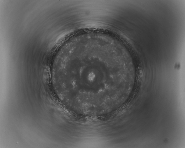 X0000114620918200911101211