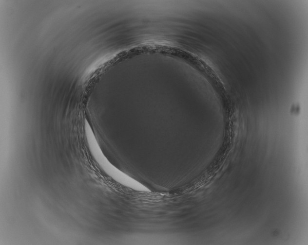 X0000114620919200911101211