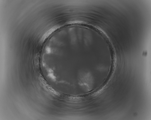 X0000114620921200911101211