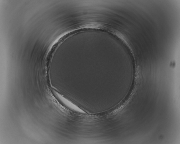 X0000114620923200911101211