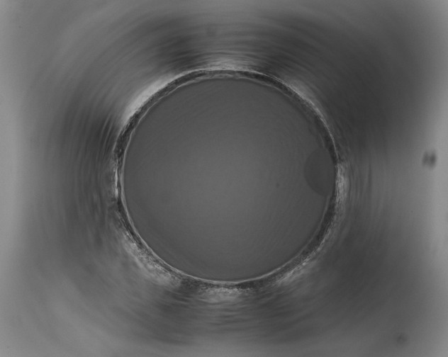 X0000114620925200911101211