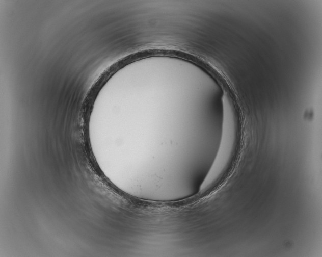 X0000114620926200911101211