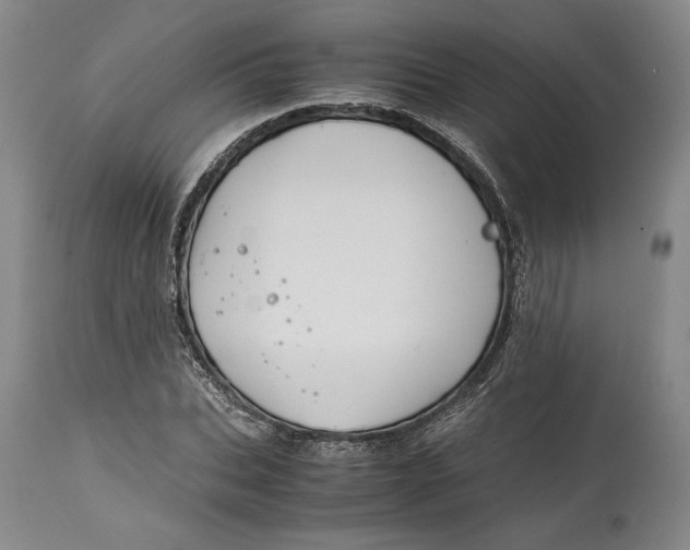 X0000114620927200911101211