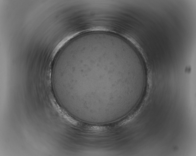 X0000114620933200911101211