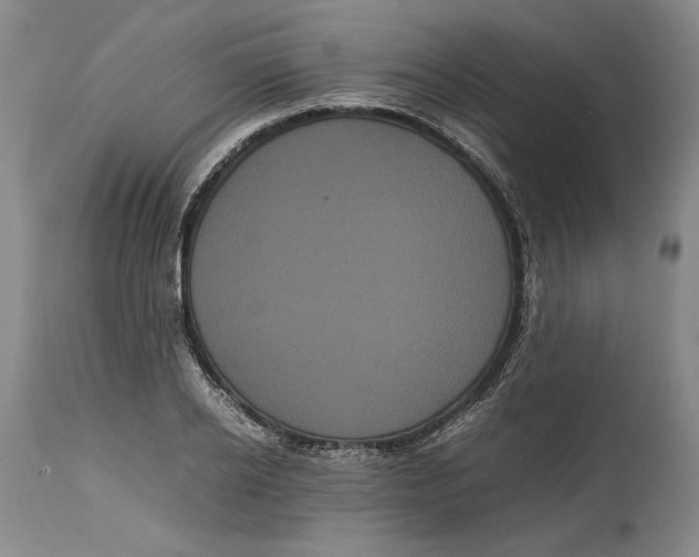 X0000114620934200911101211