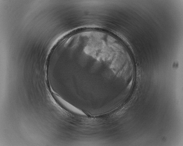 X0000114620935200911101211