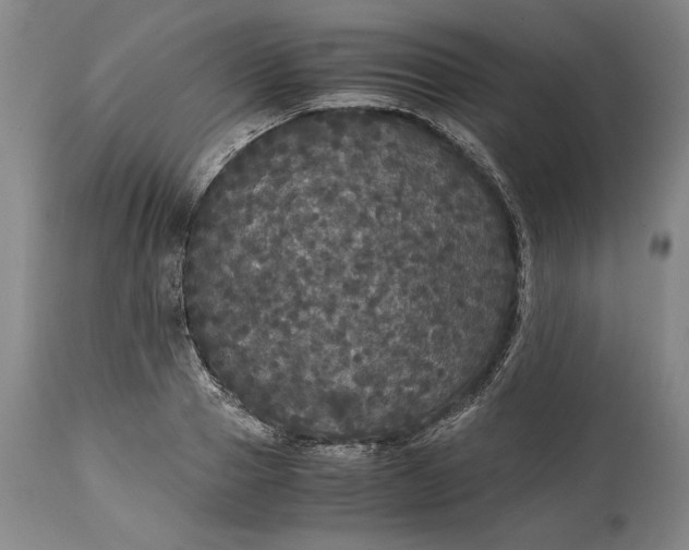 X0000114620937200911101211