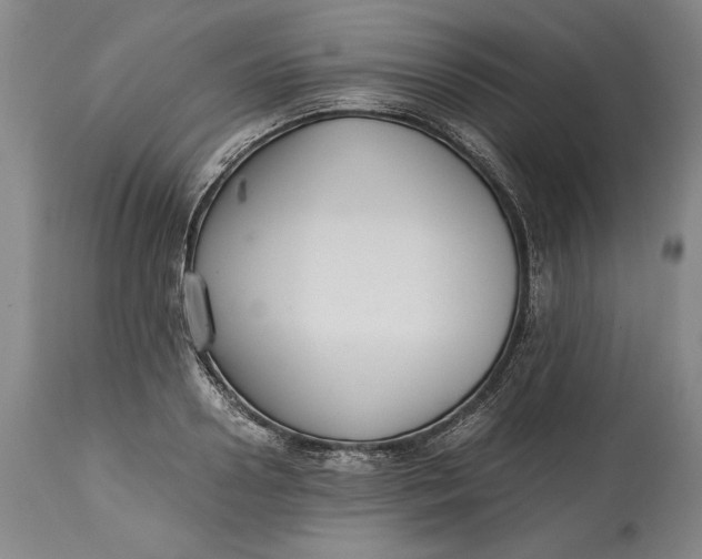 X0000114620938200911101211