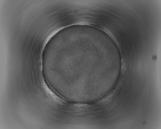 X0000114620939200911101211