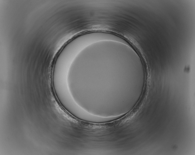 X0000114620941200911101211