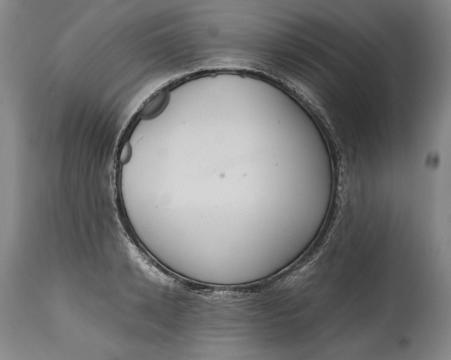X0000114620942200911101211