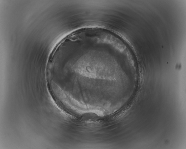 X0000114620943200911101211