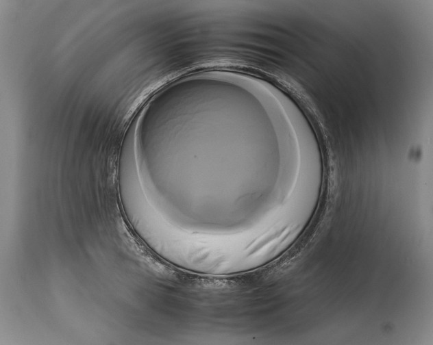 X0000114620945200911101211