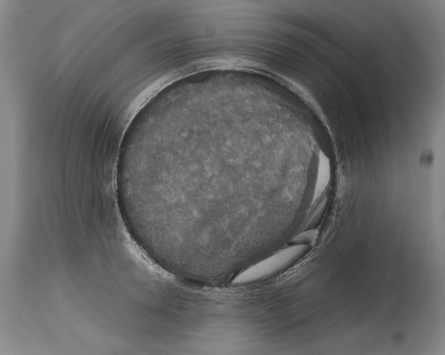 X0000114620946200911101211
