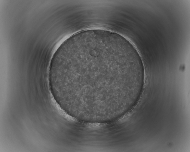 X0000114620949200911101211