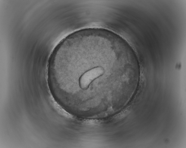 X0000114620950200911101211