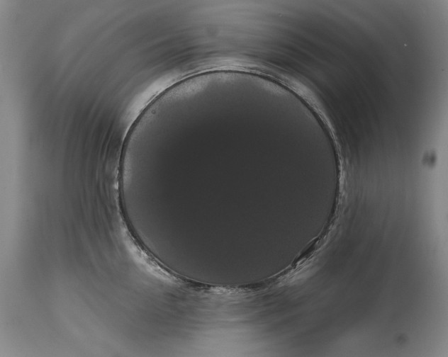 X0000114620954200911101211