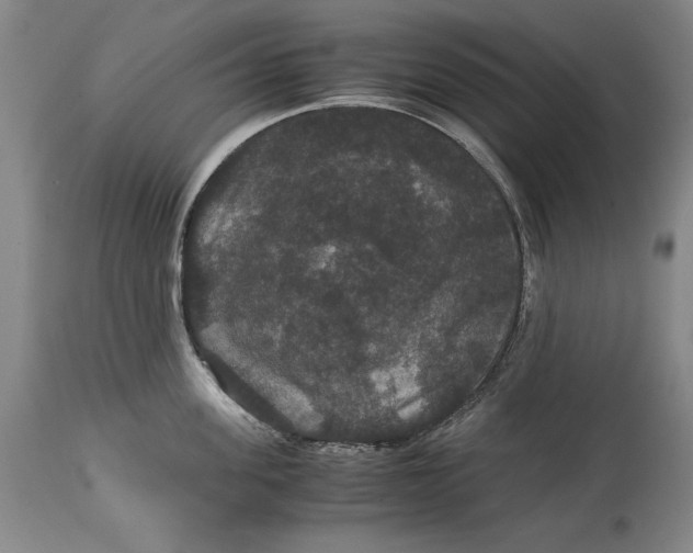 X0000114620955200911101211