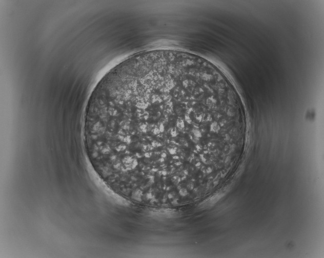 X0000114620957200911101211